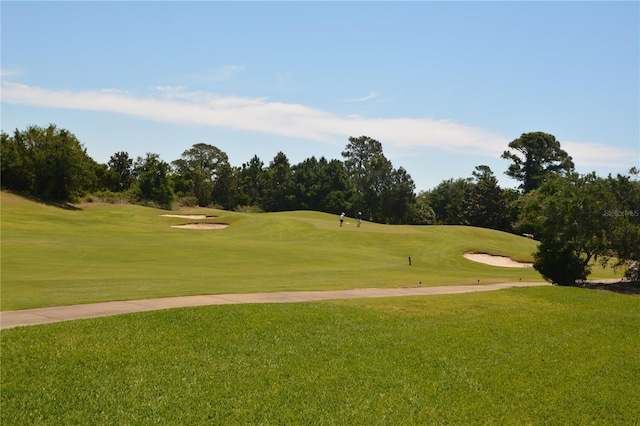 view of property's community featuring a lawn