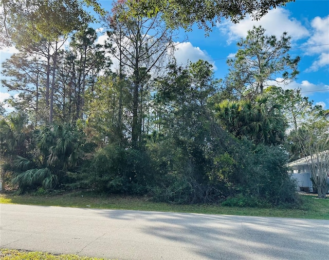 29 Providence Ln, Palm Coast FL, 32164 land for sale