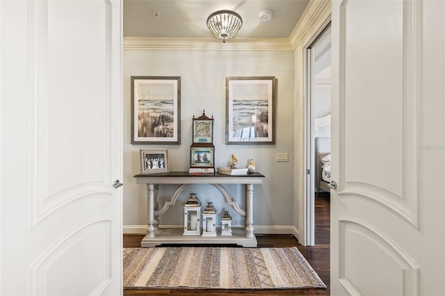 interior space featuring dark hardwood / wood-style floors and crown molding