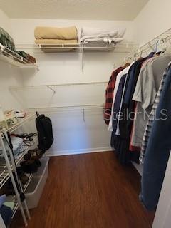 spacious closet featuring dark wood-style floors