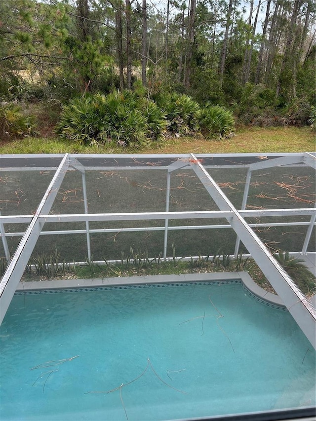 view of swimming pool with a lanai