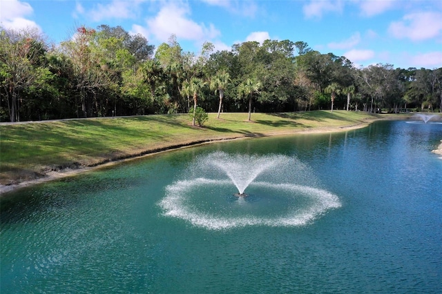 view of water feature