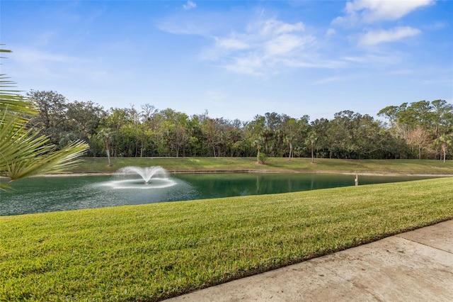 view of home's community featuring a water view and a yard