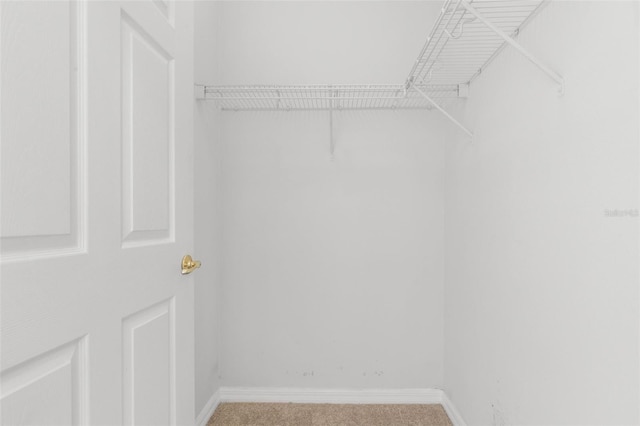 spacious closet with carpet floors