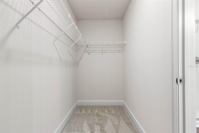 10 Zinc Pl, Palm Coast, FL 32164 - walk in closet featuring light colored carpet
