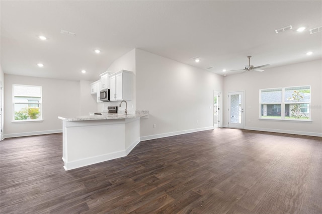 10 Zinc Pl, Palm Coast, FL 32164 - kitchen with appliances with stainless steel finishes, dark wood-style flooring, recessed lighting, light stone counters, and a ceiling fan