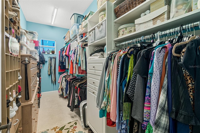 walk in closet with carpet flooring