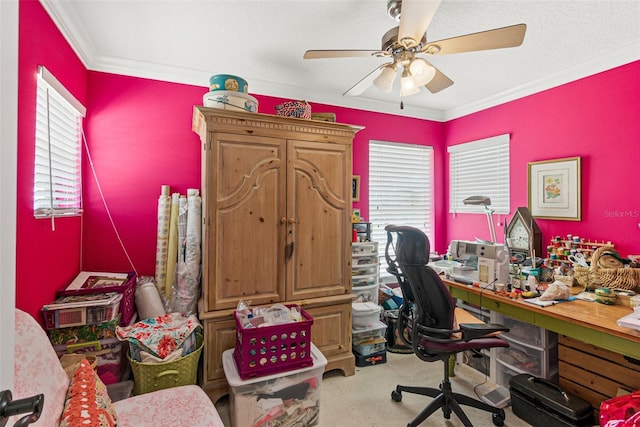 home office featuring carpet flooring, ceiling fan, and ornamental molding