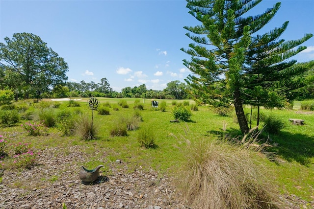 view of landscape with a rural view