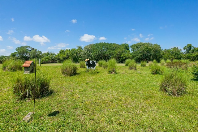 view of yard featuring a rural view