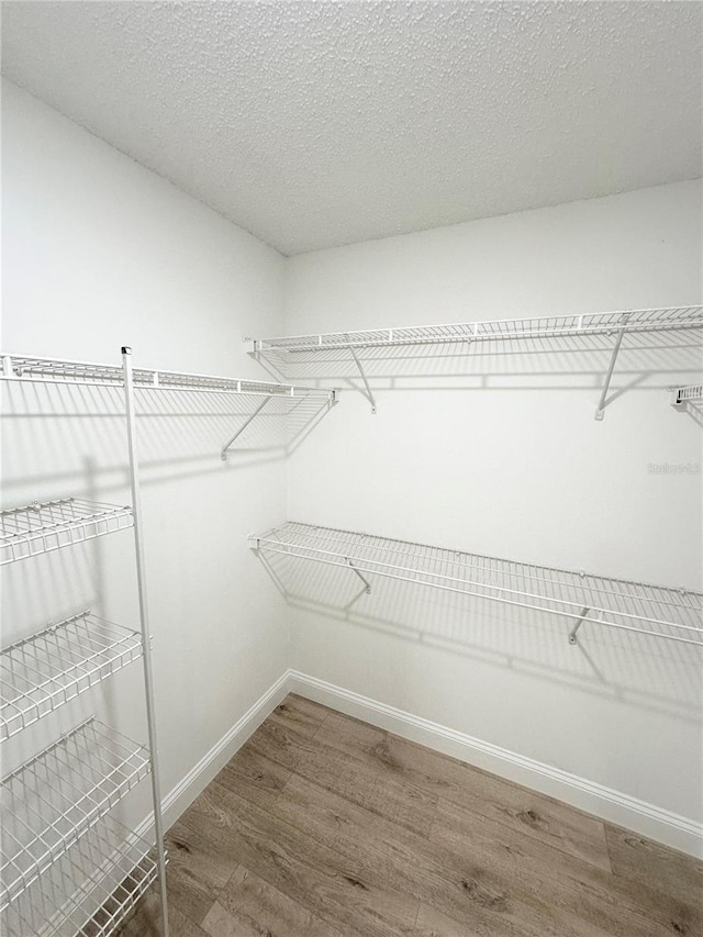 spacious closet with hardwood / wood-style flooring