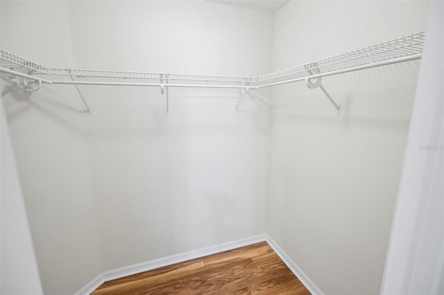 walk in closet with hardwood / wood-style flooring