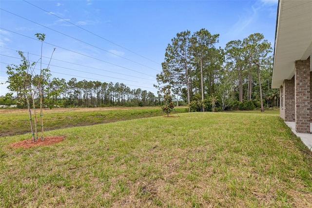 307 Underwood Trl, Palm Coast, FL 32137 - photo 33