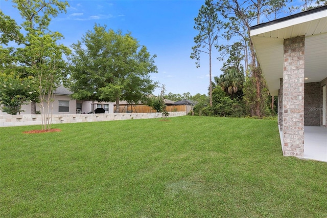 25 Port Echo Ln, Palm Coast, FL 32164 - view of yard