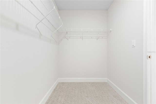 walk in closet featuring carpet