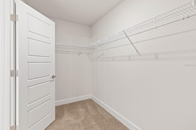 walk in closet featuring light colored carpet