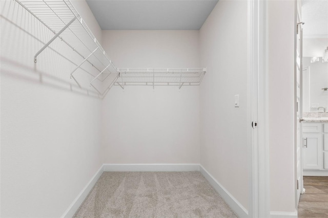 39 Zaun Trl, Palm Coast, FL 32164 - spacious closet with light carpet