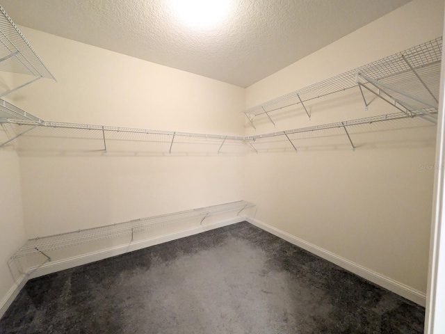 walk in closet featuring carpet flooring