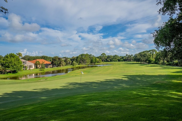 view of home's community with a yard and a water view