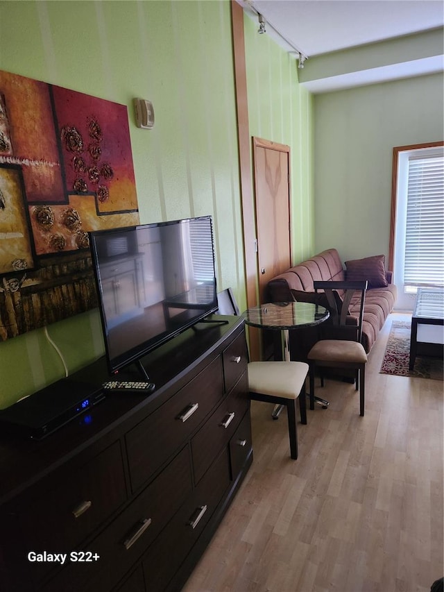 living room featuring light wood-type flooring