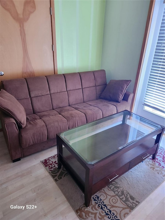 living room featuring light wood-type flooring