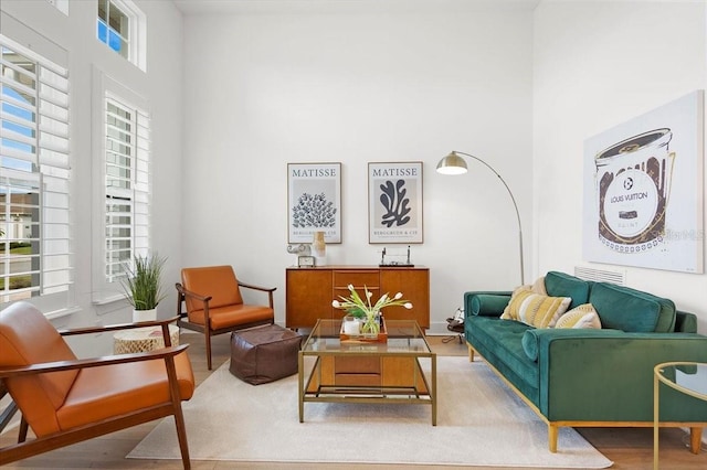 living area featuring a towering ceiling and hardwood / wood-style flooring