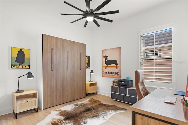 office with ceiling fan and light wood-type flooring