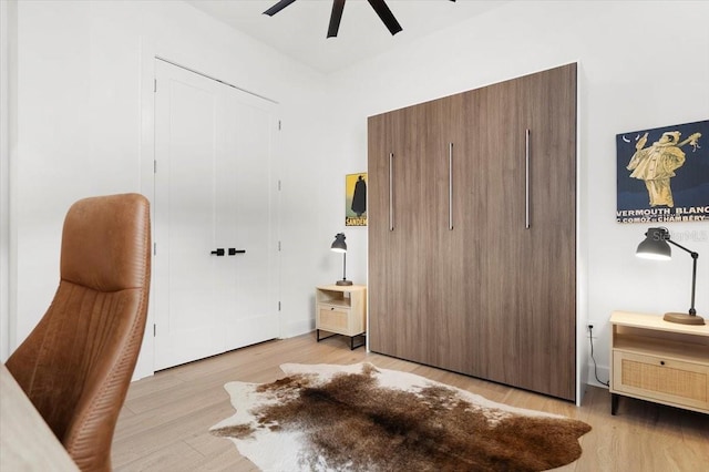 interior space featuring light hardwood / wood-style floors and ceiling fan