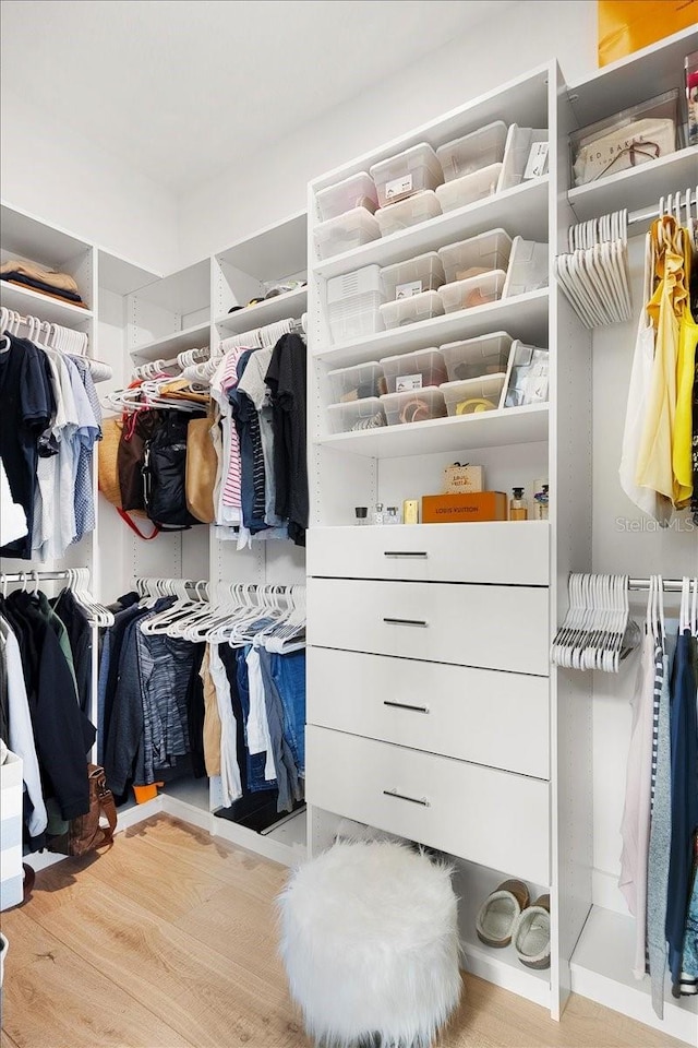 view of spacious closet