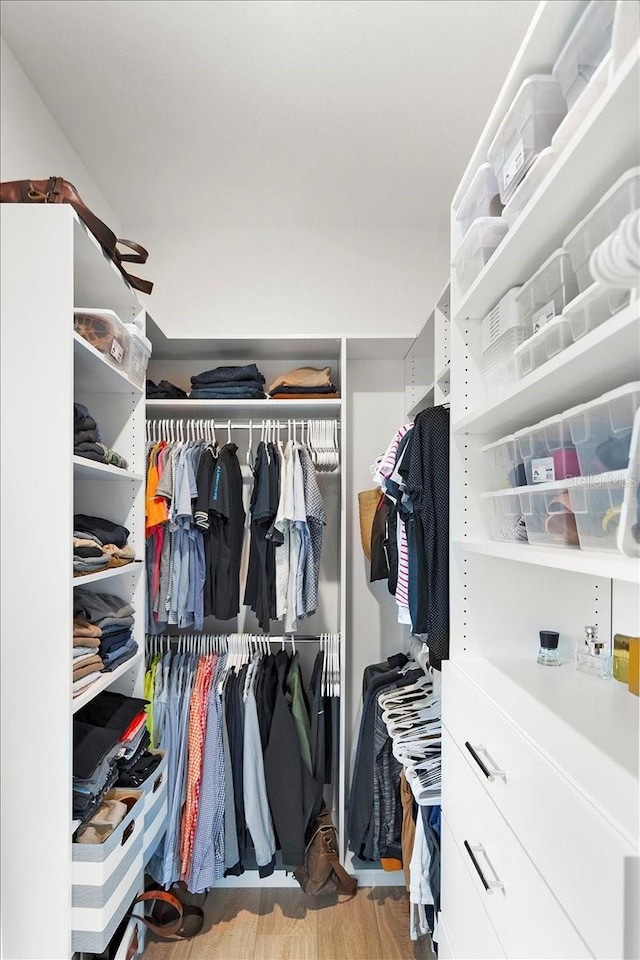 spacious closet featuring hardwood / wood-style flooring