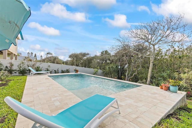 view of pool with a patio