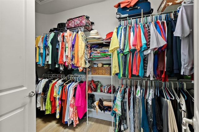 spacious closet with hardwood / wood-style floors