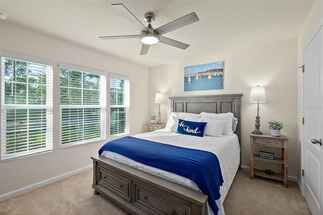 14 Rybark Ln, Palm Coast, FL 32164 - photo 44