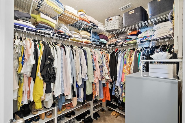 spacious closet featuring carpet floors