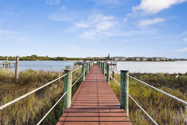 dock area with a water view