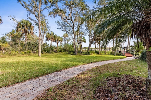 view of property's community with a lawn