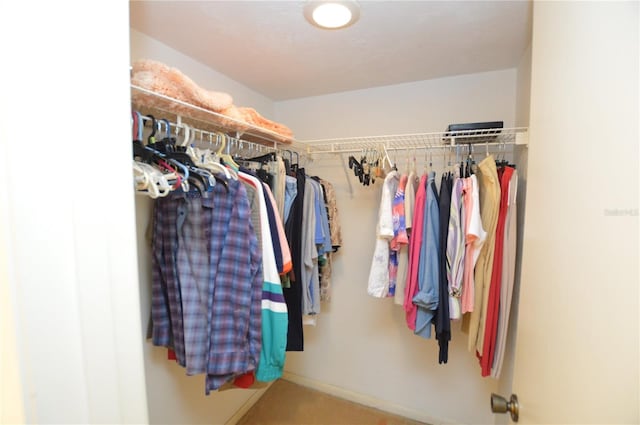 view of walk in closet