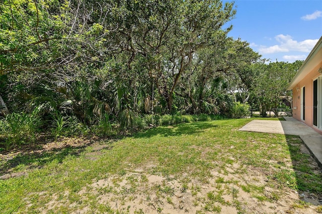 view of yard with a patio area