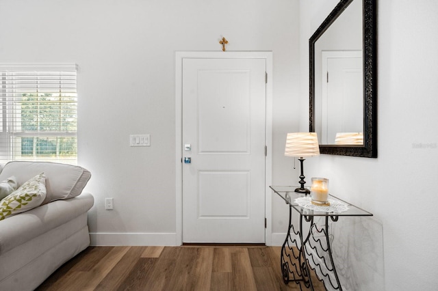 entrance foyer featuring dark hardwood / wood-style flooring