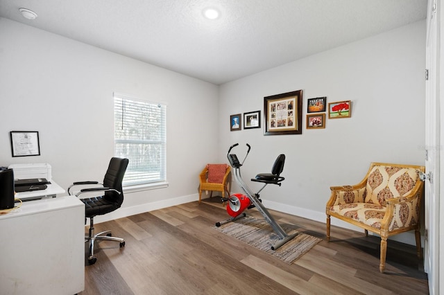 home office with hardwood / wood-style floors