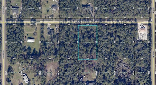 4235 Wanda St, Hastings FL, 32145 land for sale