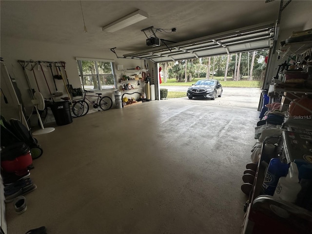 garage with a garage door opener