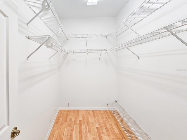 walk in closet with hardwood / wood-style flooring