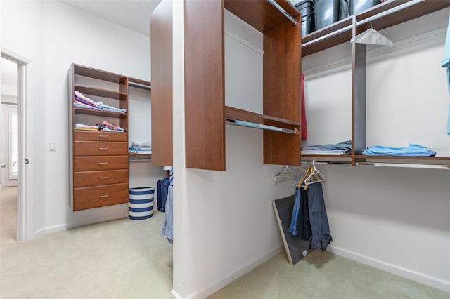 spacious closet with light colored carpet