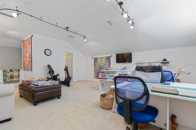 interior space featuring a textured ceiling, light carpet, and lofted ceiling