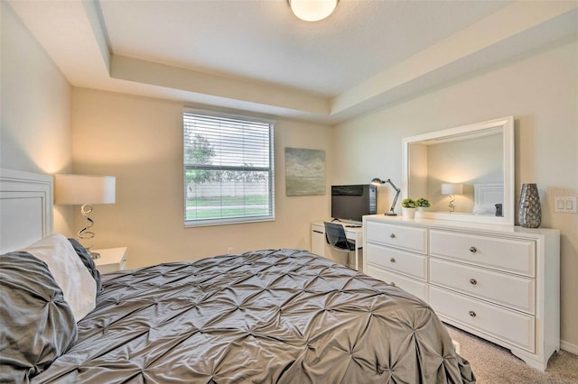 carpeted bedroom with a tray ceiling