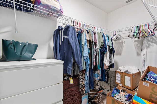 view of spacious closet