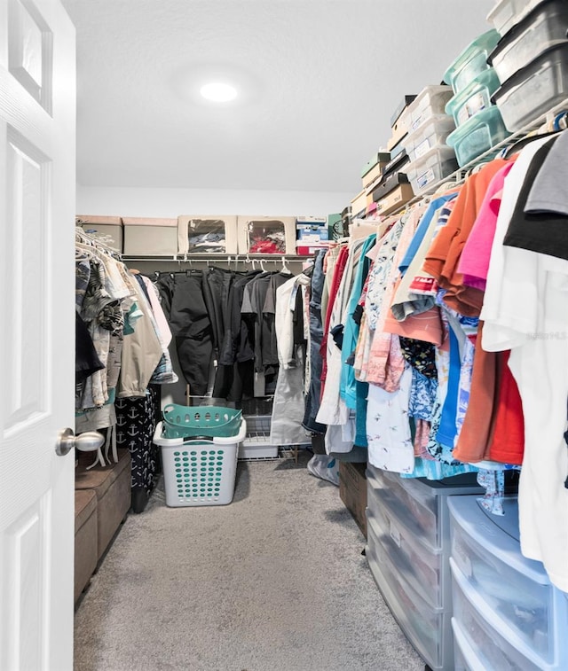 walk in closet with carpet flooring