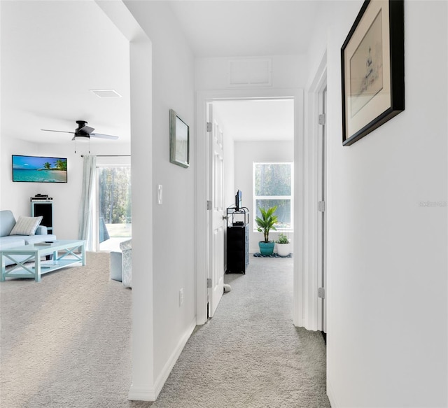 hall featuring plenty of natural light and light colored carpet