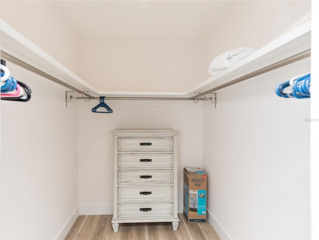 walk in closet with light hardwood / wood-style floors